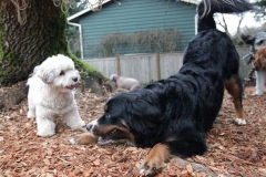 Play time
